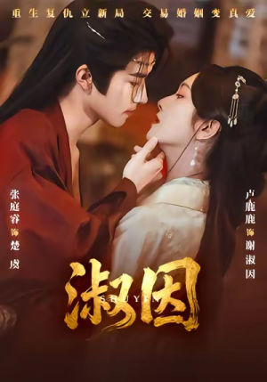 淑因(65集) 淑因(65集)全季一次看完