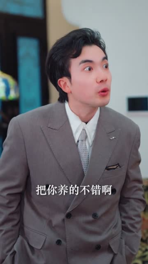 飞升前夜,我选择离婚(80集) 飞升前夜,我选择离婚(80集)在线免费观看