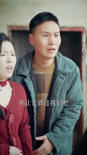 犬祸难逃（33集）最后的大结局