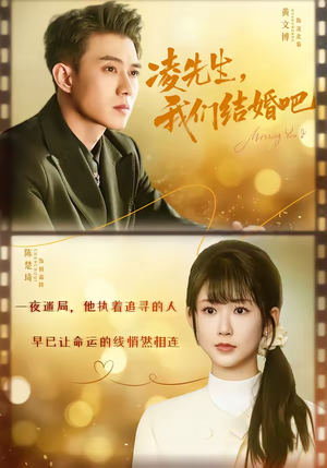 凌先生,我们结婚吧(68集) 凌先生,我们结婚吧(68集)最火爆短剧