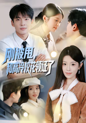刚被甩，和高冷校花领证了（67集）一口气看完