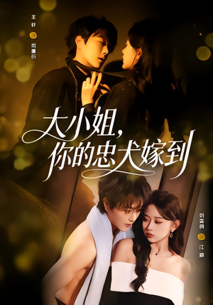 大小姐，你的忠犬嫁到（80集）短剧全集抢先看