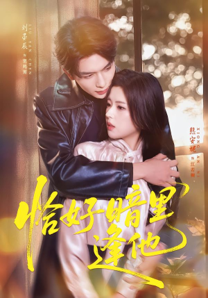 恰好暗里逢他（66集）精彩短剧下载