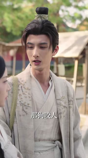 穿越荒年里，傻子也能考科举（75集）集免费看短剧