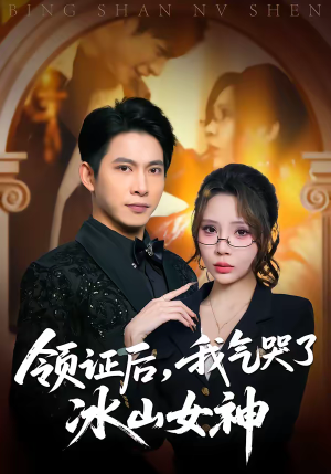 领证后，我气哭了冰山女神（60集）夸克在线观看