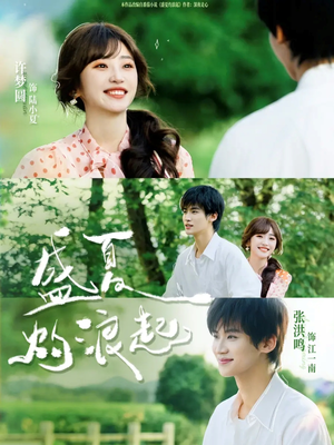 盛夏灼浪起（68集）经典老剧免费看