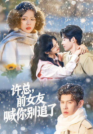 许总，前女友喊你别追了（80集）一口气追完全集