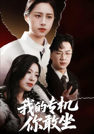 我的专机你敢坐（62集）短剧追不停