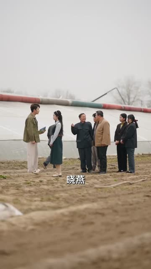 清北毕业，你让我回村当书记（73集）精彩热门短剧