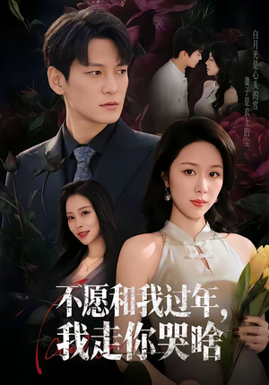 不愿和我过年，我走你哭啥（74集）红果免费短剧