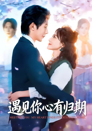遇见你心有归期（81集）直接追到结尾
