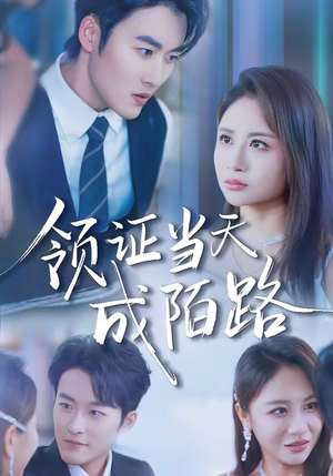 领证当天成陌路（39集）看到了大结局