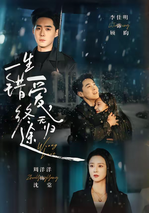 一生错爱，终无归途（74集）热门短剧抢先