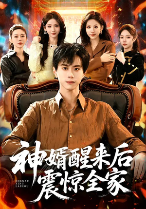 神婿醒来后震惊全家（80集）原创精彩短剧