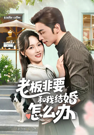 老板非要和我结婚怎么办(50集) 老板非要和我结婚怎么办(50集)河马免费短剧