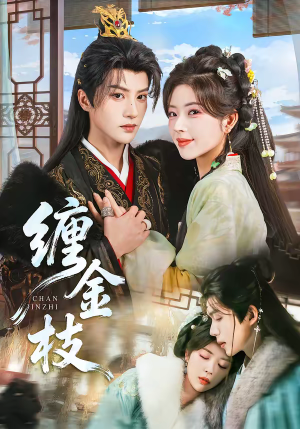 缠金枝（69集）全集完整版