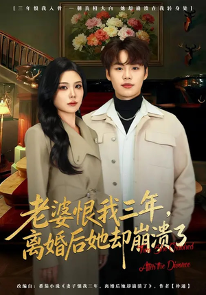 老婆恨我三年，离婚后她却崩溃了（80集）精彩短剧随心推