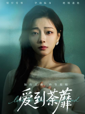 爱到荼蘼（63集）免费短剧片段