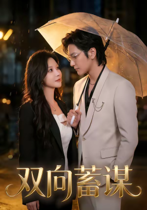 双向蓄谋（63集）直接追到结尾