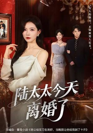 陆太太今天离婚了（59集）看到大结局