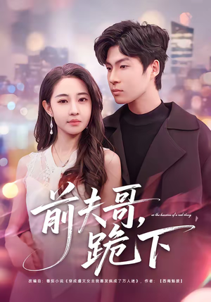 前夫哥，跪下（58集）第一季