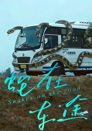 蛇在车途（34集）每日短剧分享