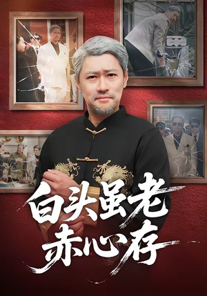 白头虽老赤心存（71集）短剧小说在线看