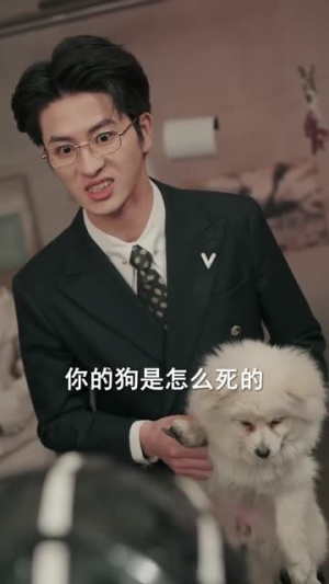 贤妻良母她不懂做饭，只懂拳脚（82集）精彩短剧推荐