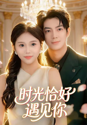 时光恰好遇见你（80集）直接追到结尾