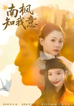 南枫知我意(41集) 南枫知我意(41集)短剧全集大结局