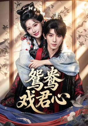 鸳鸯戏君心（60集）短剧小说在线看