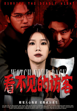 看不见的访客（62集）越看越好看短剧