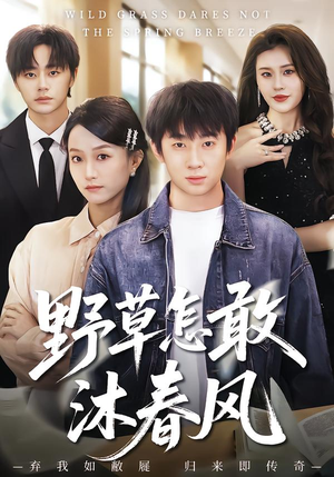 野草怎敢沐春风（61集）更新时间