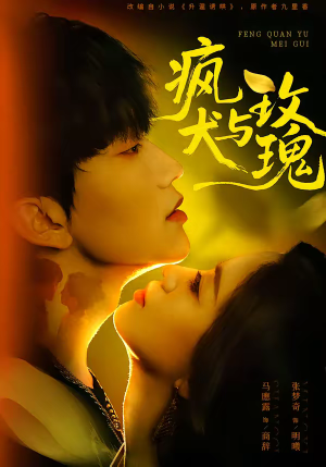 疯犬与玫瑰（80集）最近很火的短剧