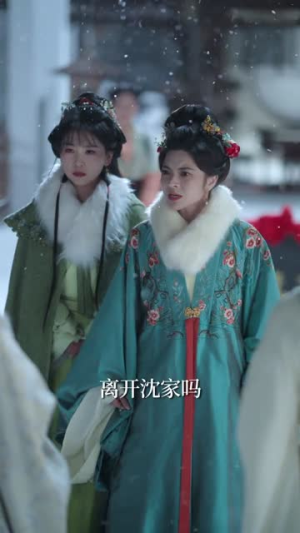 掌掴外室后，这泼天富贵我守住了（59集）迅雷网盘观看