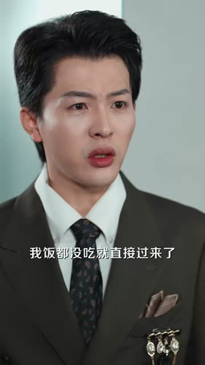 鉴宝之王：从滴滴司机到古董大亨（80集）独家资源免费看