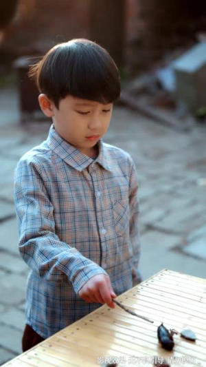 重生到妻儿死亡的前一天(80集) 重生到妻儿死亡的前一天(80集)在哪里看