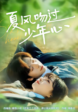 夏风吻过少年心（76集）火爆短剧推荐