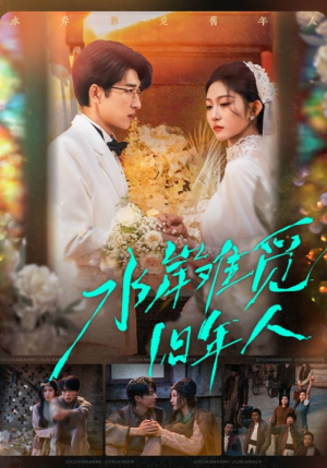 水岸难觅旧年人（68集）免费看