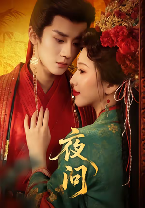 夜问（60集）在线看完整版