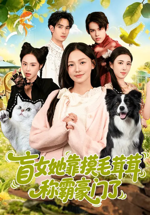 盲女她靠摸毛茸茸称霸豪门了（84集）短剧追到爽