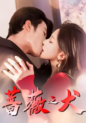 蔷薇之犬（60集）评价怎么样