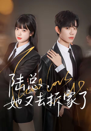 陆总，她又去拆家了（80集）热门短剧又来了