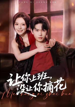 让你上班，没让你摘花（70集）迅雷网盘观看