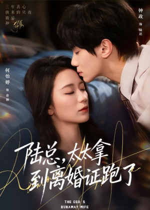 陆总，太太拿到离婚证跑了（86集）真的太精彩了