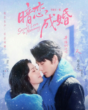 暗恋成婚（60集）今日短剧分享