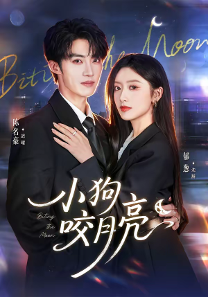 小狗咬月亮（66集）零花钱看整部剧