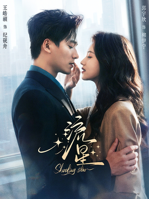 流星（77集）热门短剧榜单
