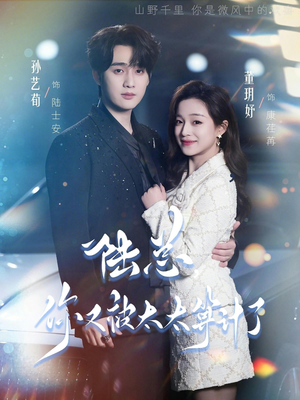 陆总，你又被太太算计了（70集）剧好看短剧推荐