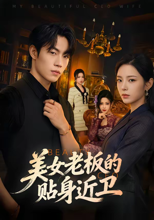 美女老板的贴身近卫（60集）评价怎么样